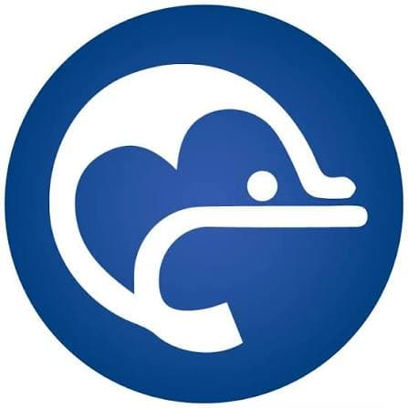 Dolphin School Berkshire independent school in Berkshire logo