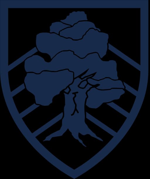 Boundary Oak School independent school in Hampshire logo