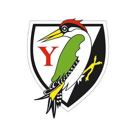 Yarrells Preparatory School independent school in Dorset logo