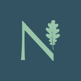 St Neot's School independent school in Hampshire logo